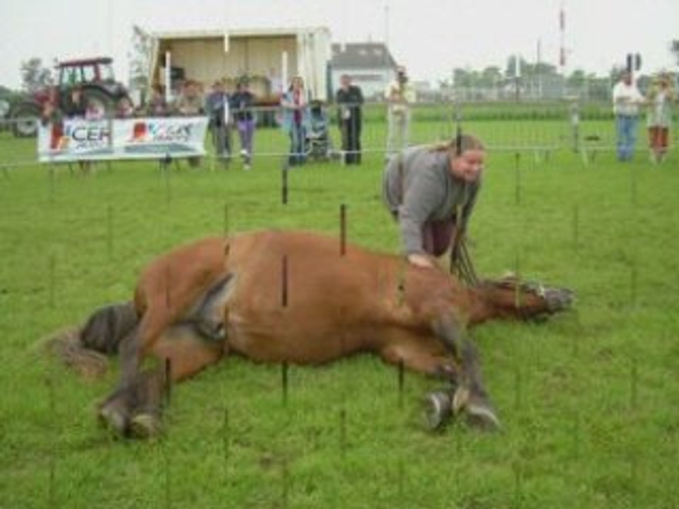 kerozar 2008
