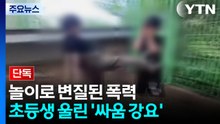[단독] 학교가 '격투판' 됐다...초등생 울린 '싸움 강요' / YTN