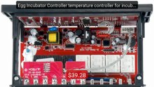 Egg Incubator Controller temperature controller for incubator... -- Amazing Value 2026 | Must Have!