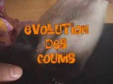 Evolution des furetons