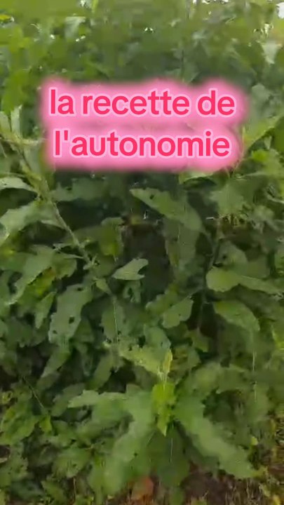 La recette de l'autonomie