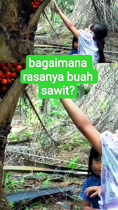 Rasanya Manis Legit
