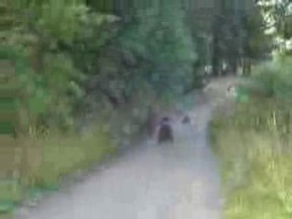 CrashMan Suivi TrashMan et LinkAtPlug (HS)