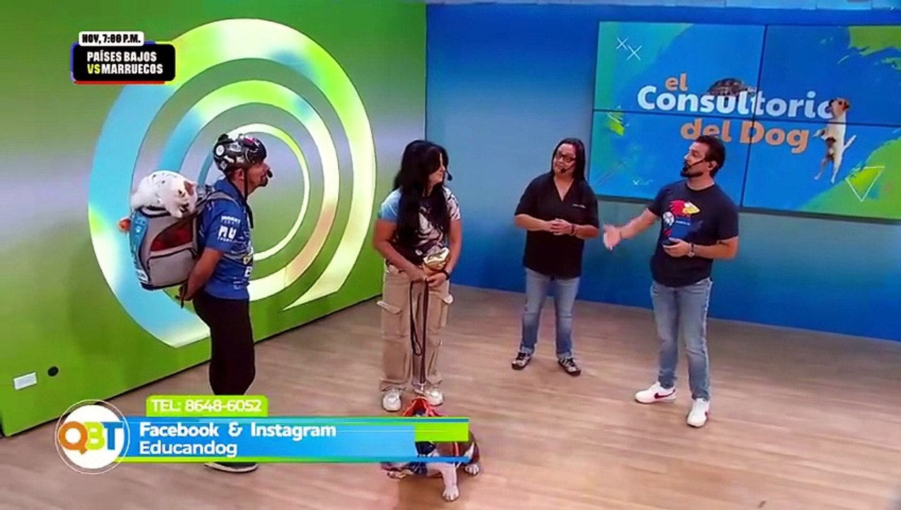 Veterinaria - Lunes 29 junio 2026 [Full Movie]