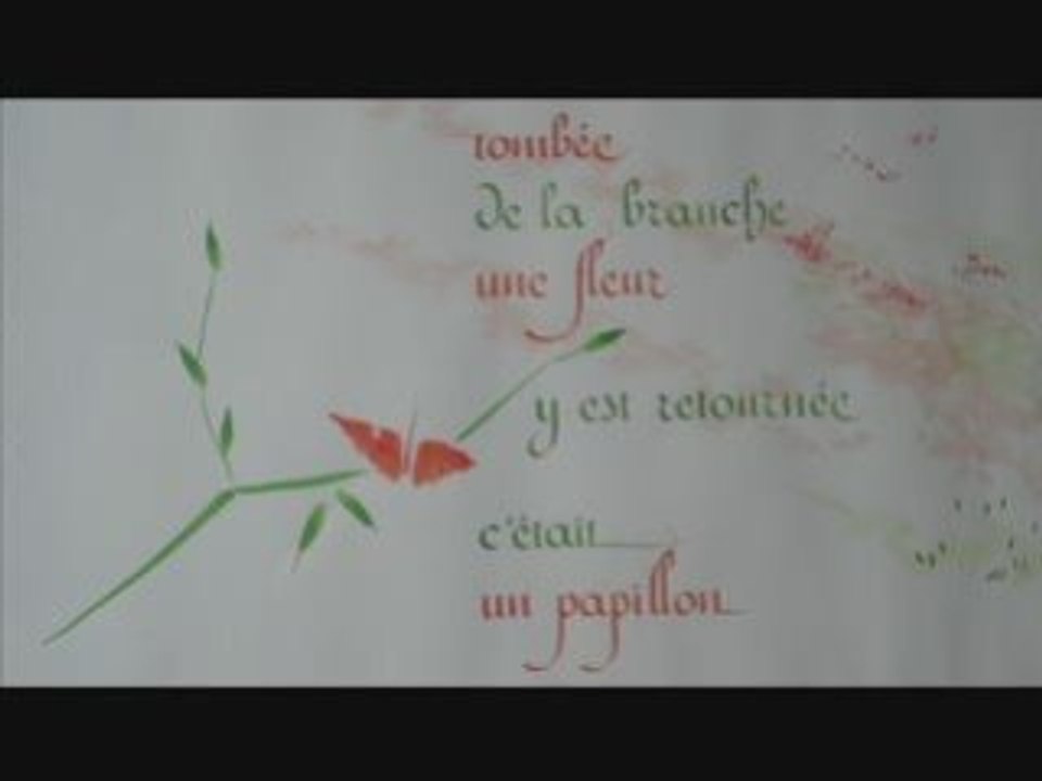 Les wampas - papillon