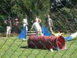 Arlette concours Aussonne 2008