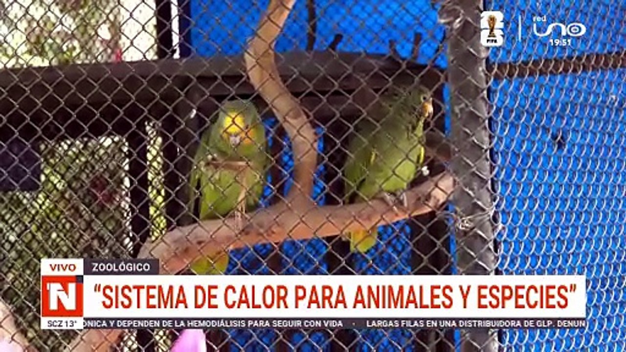 PROTOCOLO DE INVIERNO PARA ANIMALES DEL ZOOLÓGICO