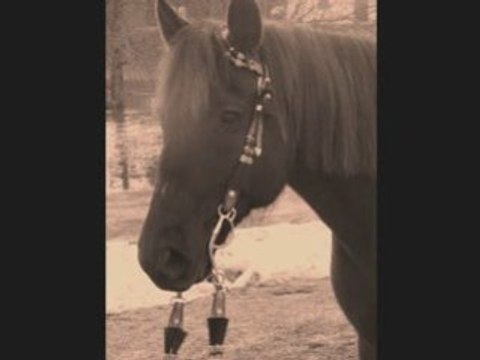 Choix futur,Futur rapproché