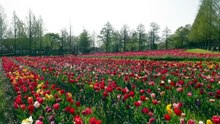 [初]遠くへ行きたい「加藤諒が滋賀へ 斬新な漆小物＆豪華絢爛祭り＆琵琶湖の離島」2026.05.24 WEBDL-Cosmo