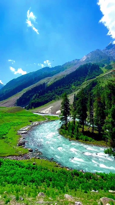 mantasha travel site