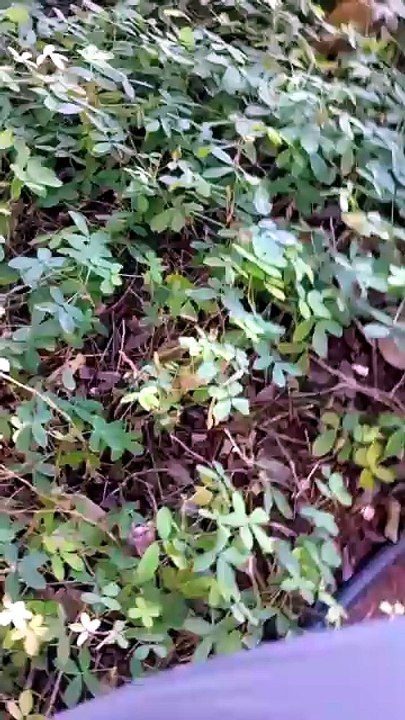A natureza é linda