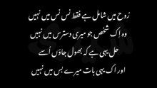 #UrduPoetry #SadPoetry #Shayari #DeepLines #HeartTouching #EmotionalQuotes #PoetryLovers #ViralReels