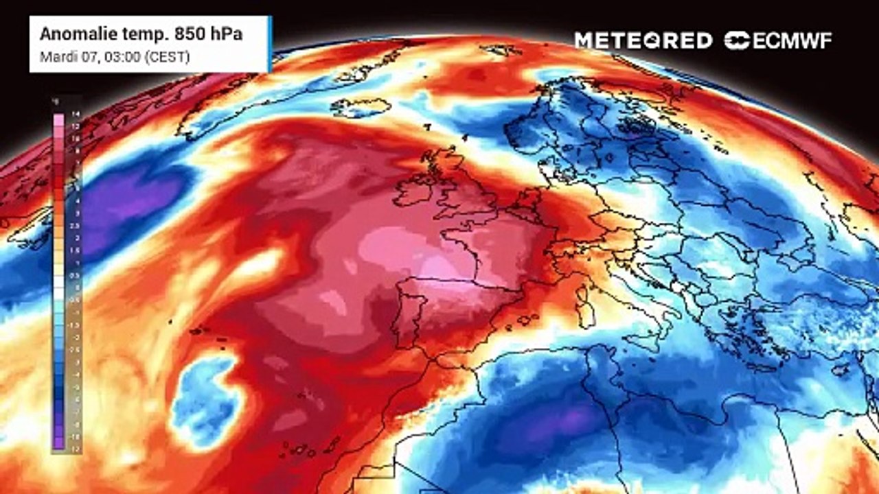La canicule éloigne les moustiques