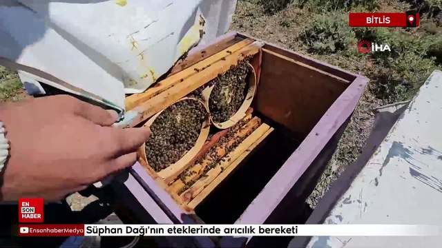Bitlis Süphan Dağı'nın eteklerinde arıcılık bereketi