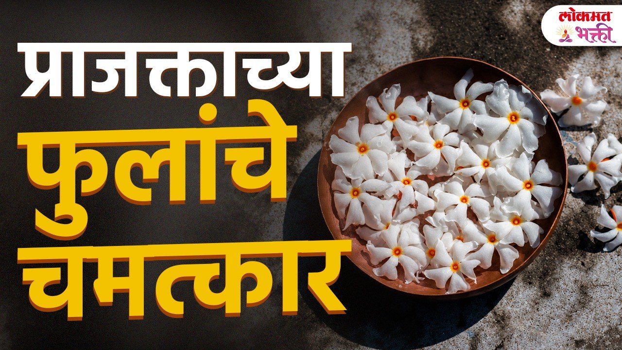 Parijat Flower Miracle | प्राजक्ताचे झाड असेल त...