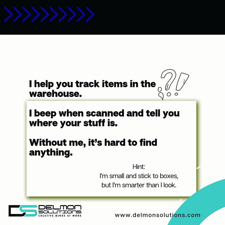 Delmon Solutions Video