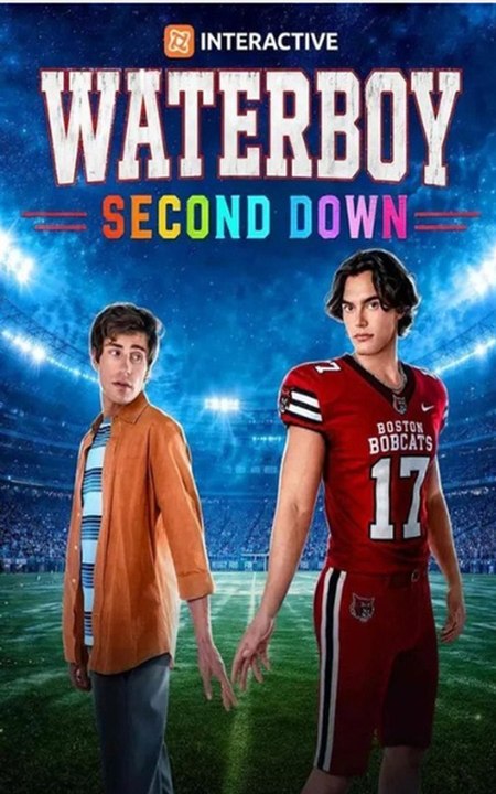 Waterboy Second Down MOVIES