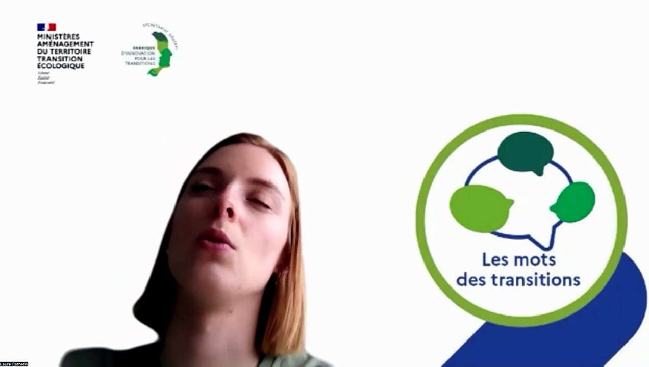 Les mots des transitions - cycle 8 - Stratégie systémique