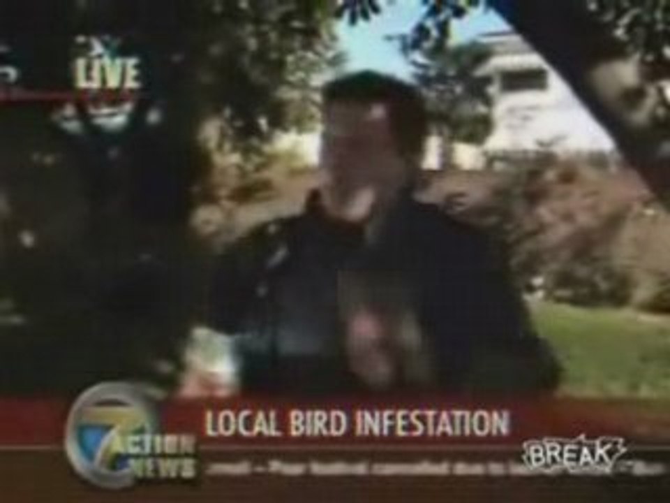 Bird Poops In Reporters Mouth