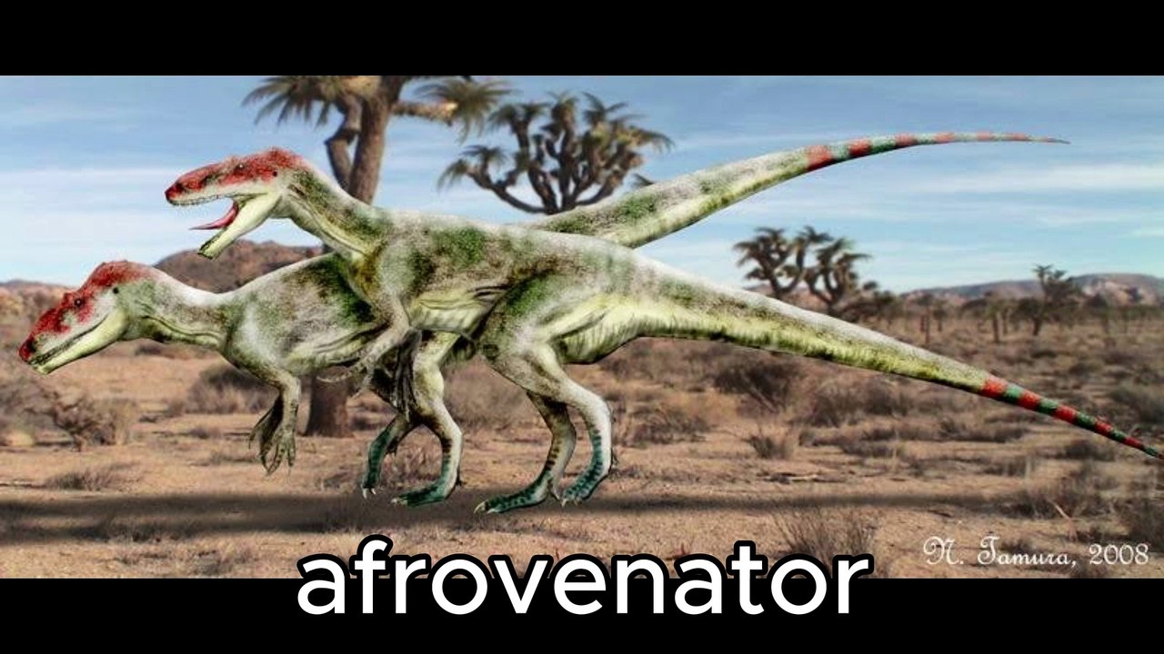 underrated theropod tournament (meet the fighters)