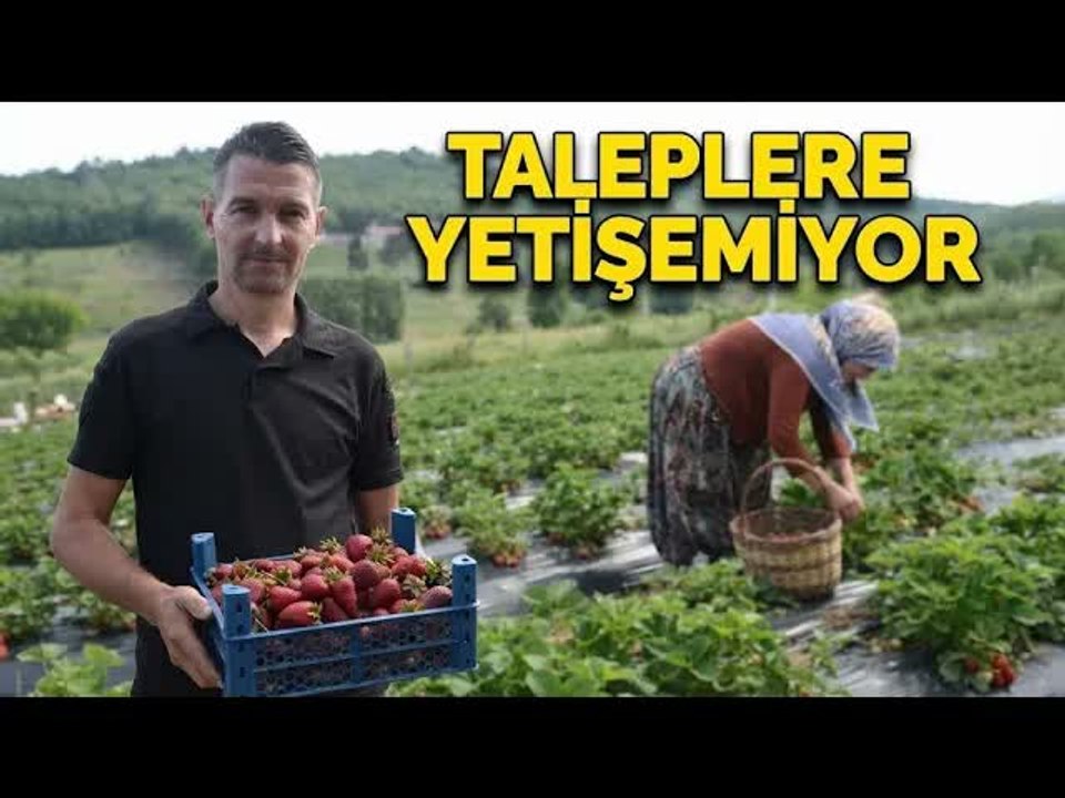 Hobi olarak 2 dönümde başladı, üretimi şimdi 42 dönüme çıktı