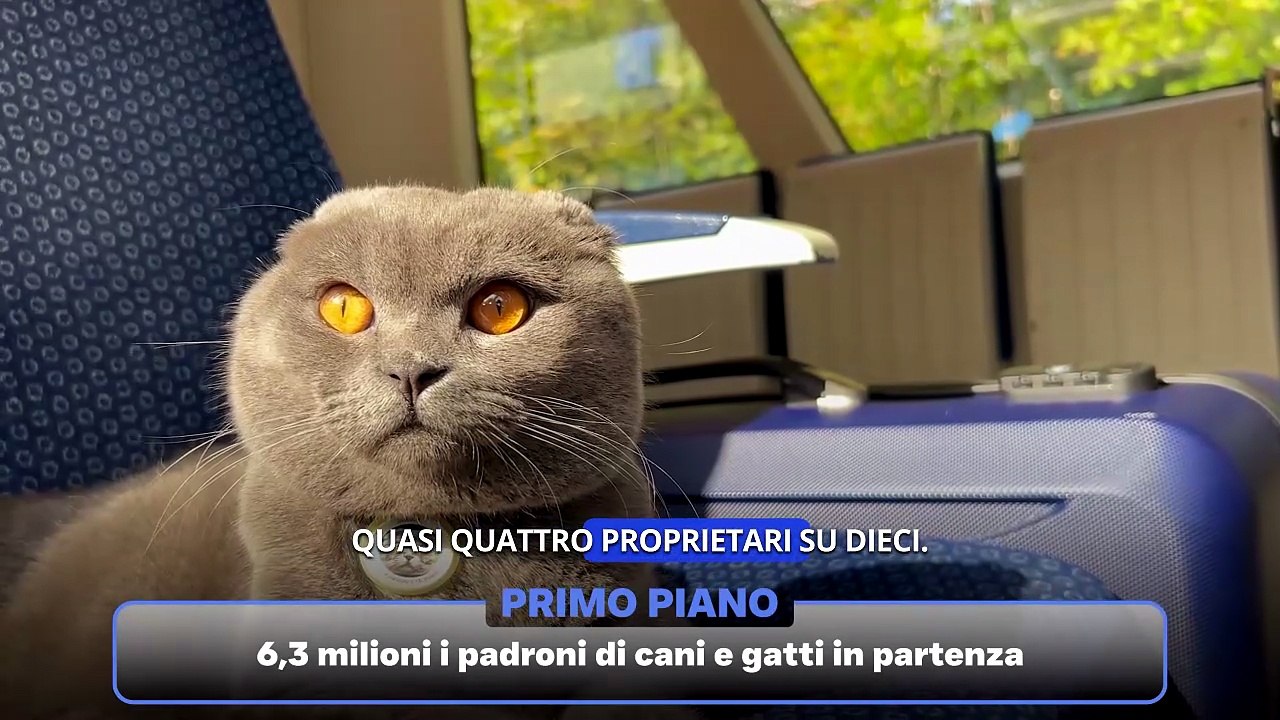 95941