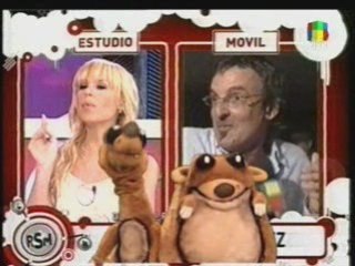 rsm - suricata vs benito