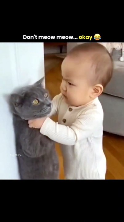 Don't Meow Meow... Okay! 😂 | Cute Baby Scolding Cat Funny Video
