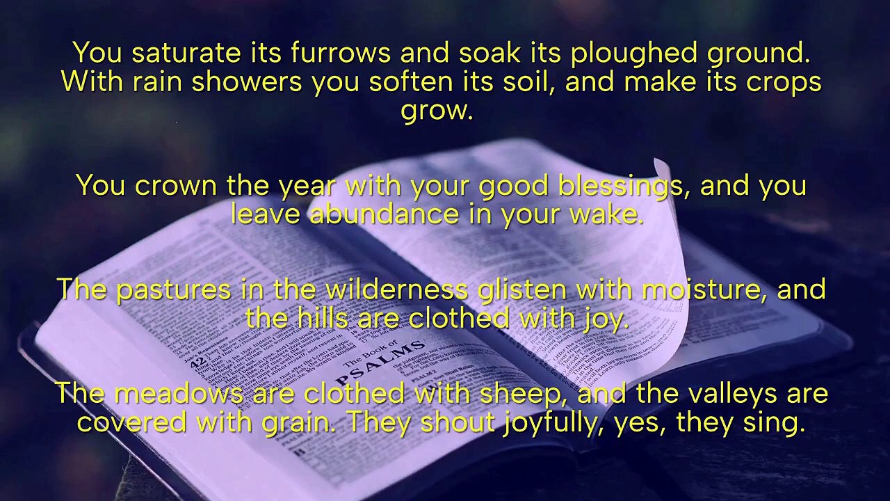 Evening Prayer, Sunday July 12, 2026