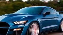 Mustang GT vs dodge challenger