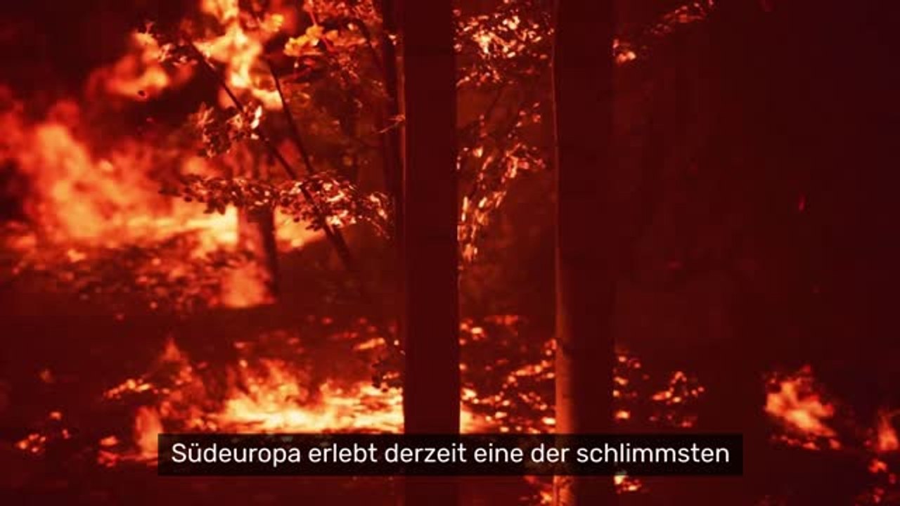 Feuer-Inferno in Südeuropa: Waldbrände außer Kontrolle – Zehntausende fliehen vor den Flammen