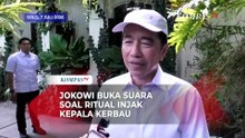 Jokowi Buka Suara soal Ritual Injak Kepala Kerbau di Lampung
