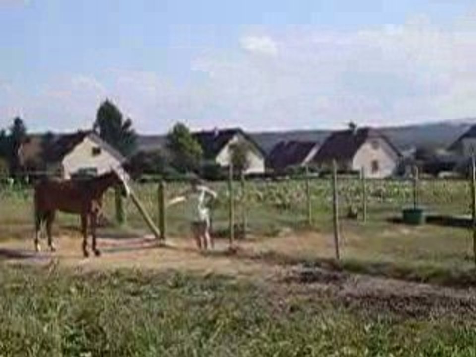 Kyts déménagement