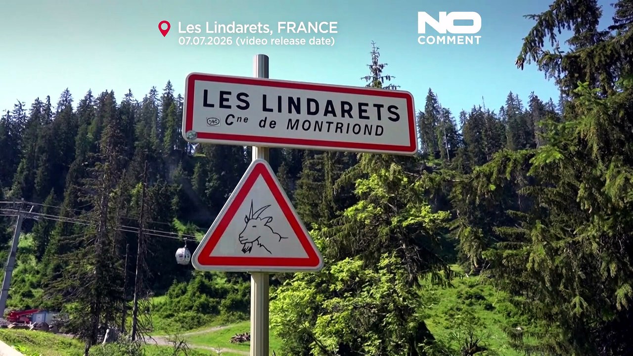 Les chèvres circulent librement dans ce village des Alpes françaises