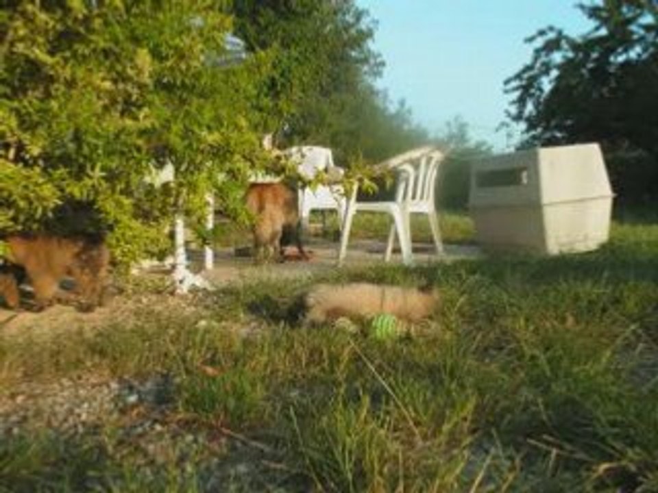 Mardi 1 juillet