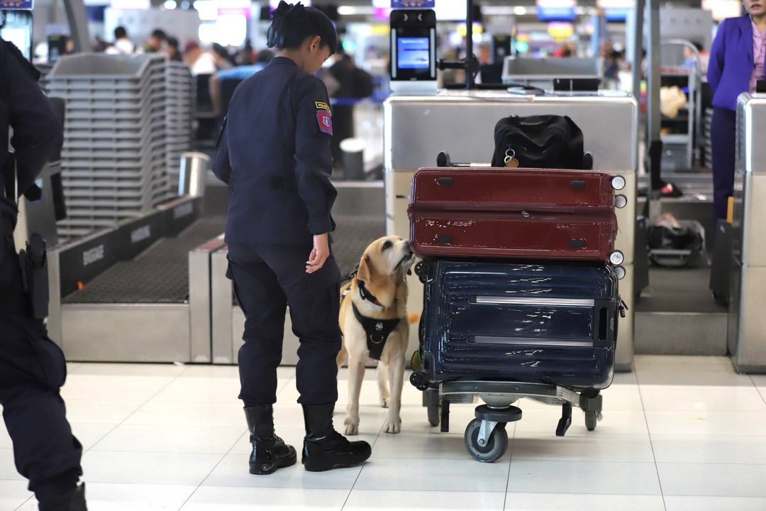 AOT ยกระดับความปลอดภัยสนามบินสุวรรณภูมิ ผนึก K-9 สกัดลักลอบขนยาเสพติด