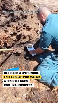 Detienen a un hombre en Illescas por matar a cinco perros con una escopeta