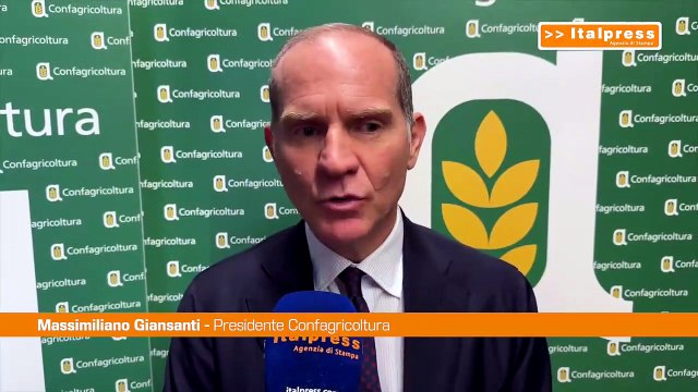 Giansanti Sulla Xylella dare risposte concrete ai nostri agricoltori