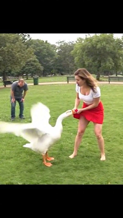 Funny White Duck Chases a Girl! 🦆😂 | Hilarious Animal Moments