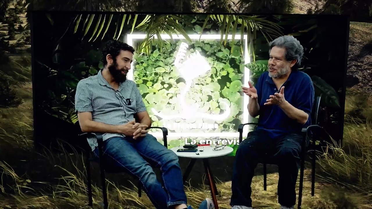 Jorge Zárate - La planta Films