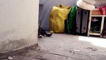 Mimi veux ce faire des amis