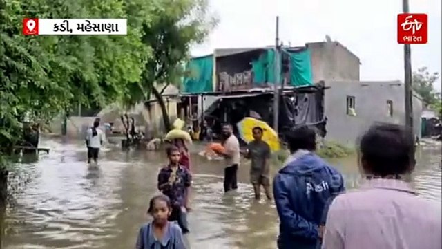 કડીના ડરણ ગામે વરસાદી આફત: પાણીમાં ગરકાવ થયા 140 મકાનો, તંત્રના 'કાગળ પરના વિકાસ' સામે લોકોનો આક્રોશ