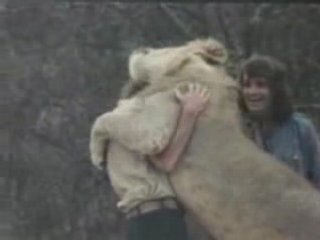 帰したライオンと再会