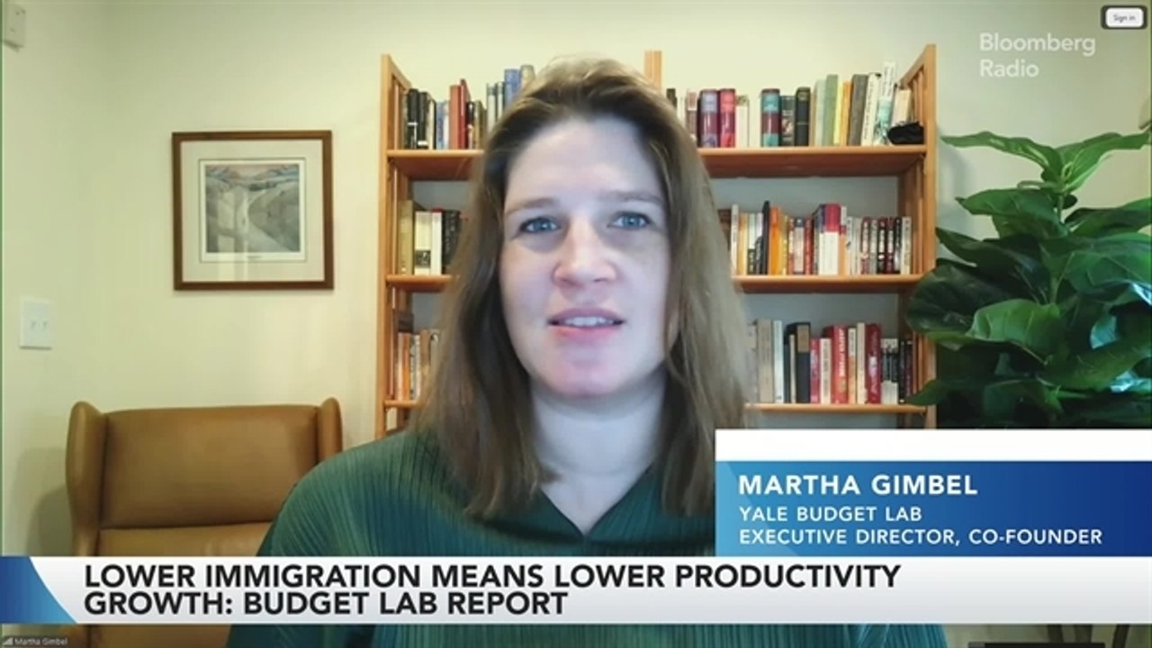 'We Assume Immigration Policy Returns to Baseline in 2029' Says Martha Gimbel