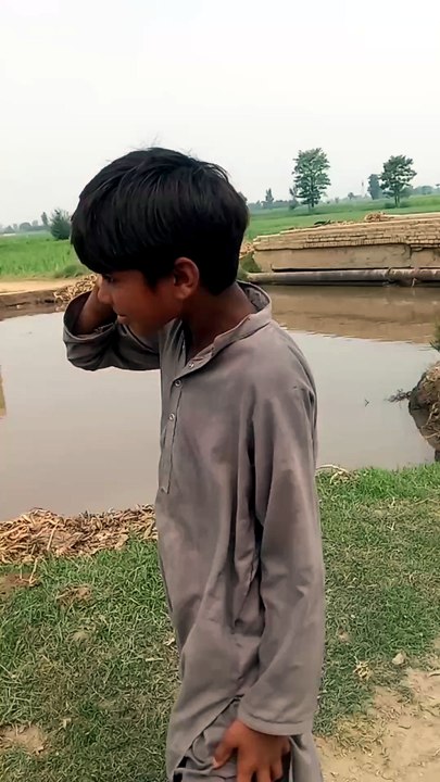 The most Funny Video of Dacket #funny #comdey #fun