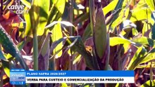 Plano Safra começa com R$ 610 bilhões, mas setor reclama de atraso no crédito