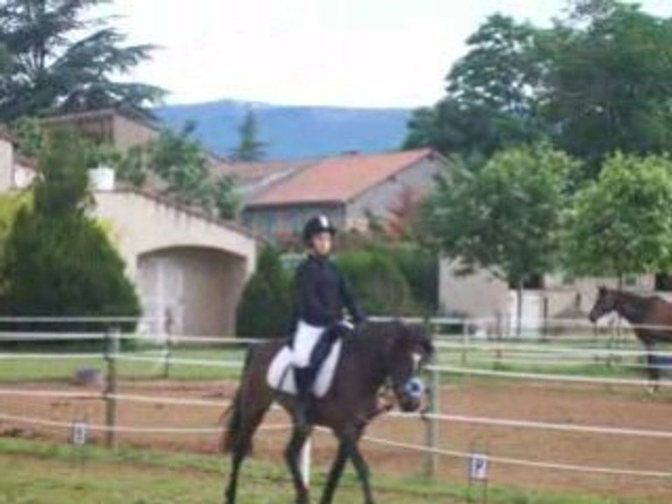 Katchina , Dressage Le poet