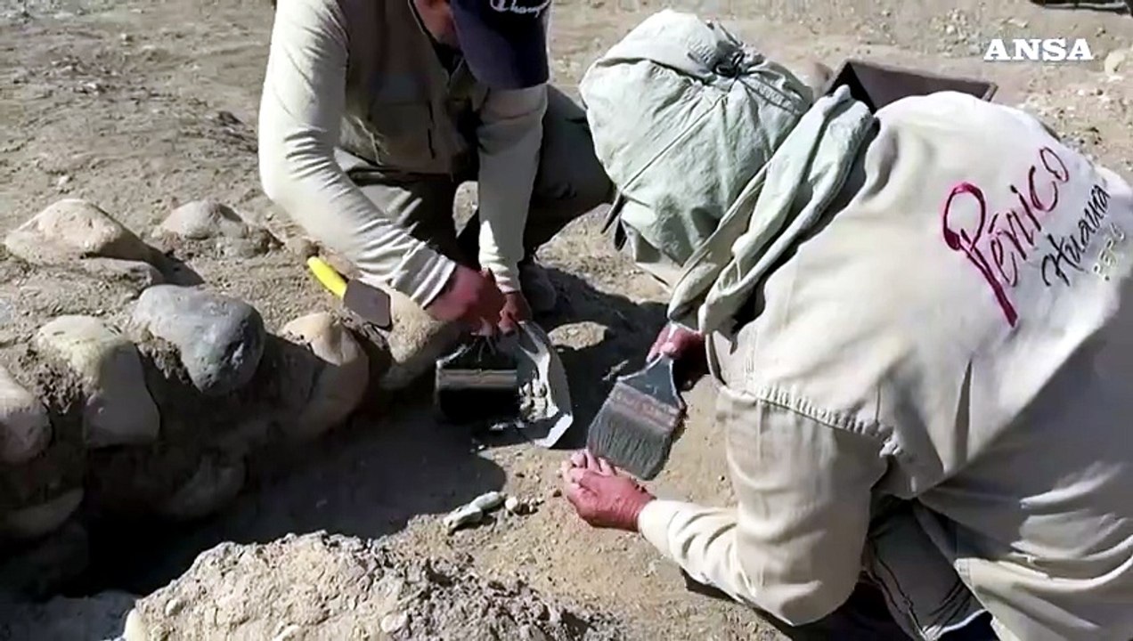 In Perù reperti rituali di 3.800 anni fa appart...