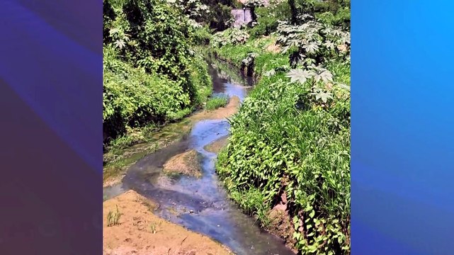 Denuncian descargas de aguas negras en canales de Mezcales | CPS Noticias Puerto Vallarta