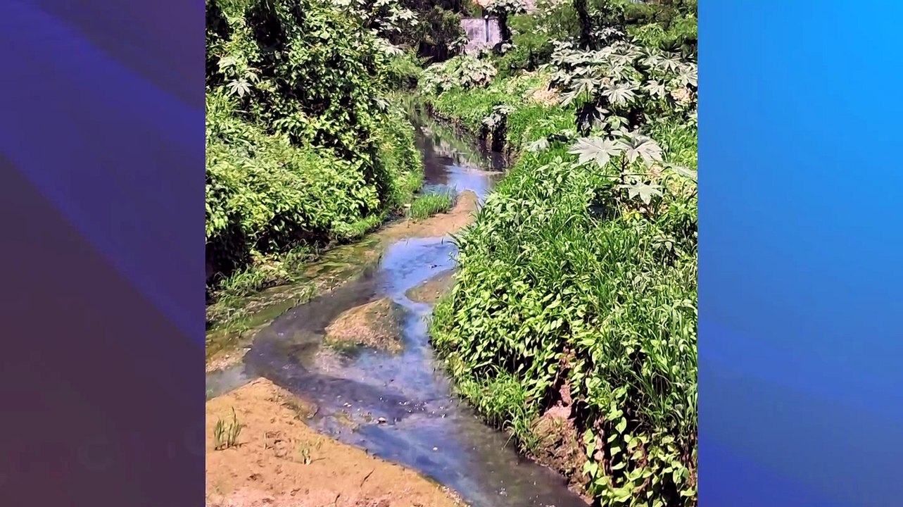 Denuncian descargas de aguas negras en canales de Mezcales | CPS Noticias Puerto Vallarta